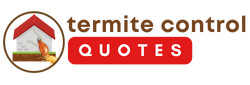 City Beautiful Termite Removal Experts
